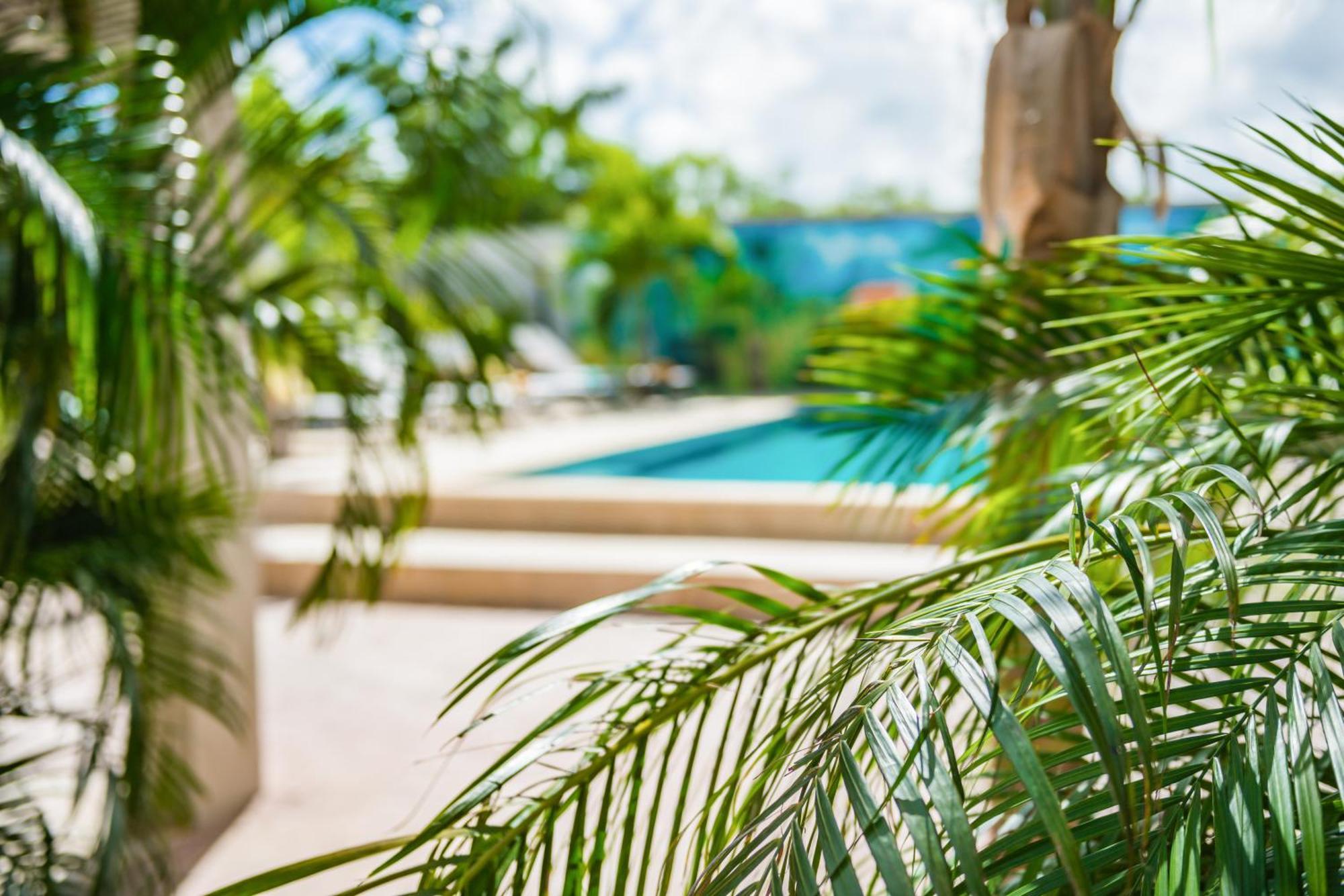 Casita Palma Boutique Resort Kralendijk  Ngoại thất bức ảnh