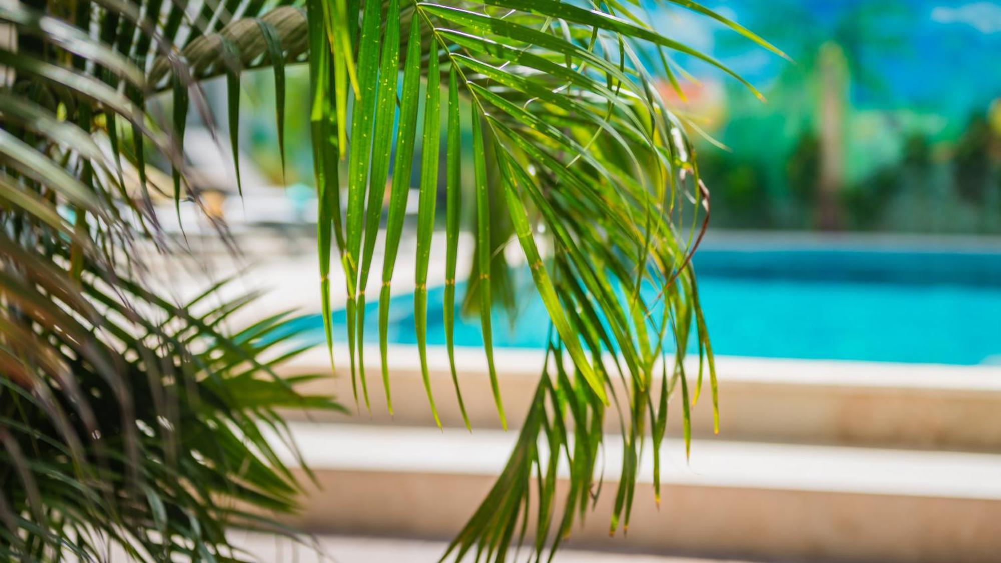 Casita Palma Boutique Resort Kralendijk  Ngoại thất bức ảnh